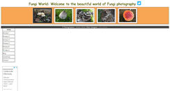 Desktop Screenshot of fungiworld.co.uk